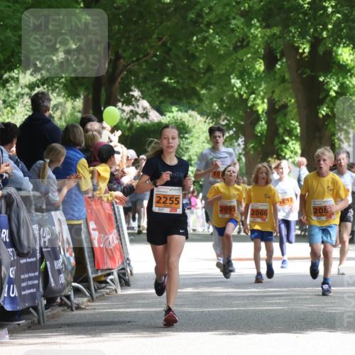 17.05.2025 - Störlauf Strokosch-Dieckow http://msf.ph/oto/7852068 17.05.2025 15:27:09 Ziel 19, 2255, 897, 2095, 2066, 208 meine-sportfotos.de