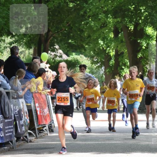 17.05.2025 - Störlauf Strokosch-Dieckow http://msf.ph/oto/7852070 17.05.2025 15:27:09 Ziel 15524, 14, 2255, 2095, 2066, 2089, 2257 meine-sportfotos.de