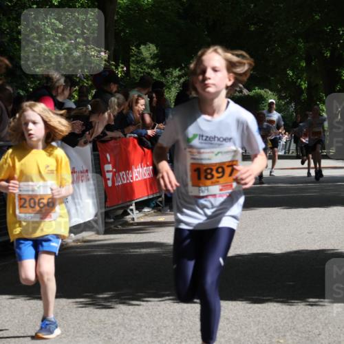 17.05.2025 - Störlauf Strokosch-Dieckow http://msf.ph/oto/7852097 17.05.2025 15:27:18 Ziel 257, 2066, 1897 meine-sportfotos.de