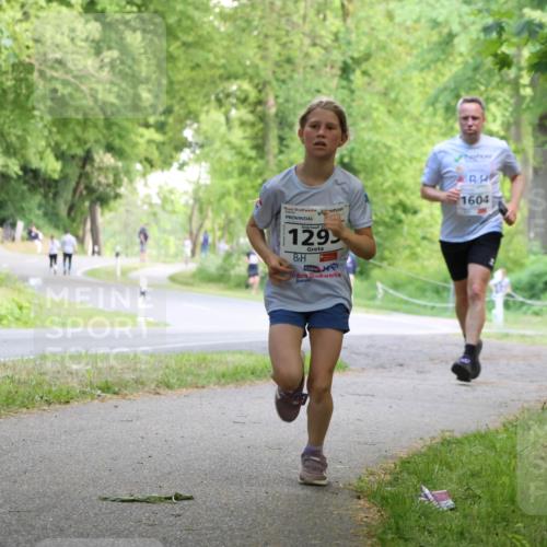 17.05.2025 - Störlauf Strokosch-Dieckow http://msf.ph/oto/7852260 17.05.2025 14:37:04 Laufen 20, 1295, 1604 meine-sportfotos.de