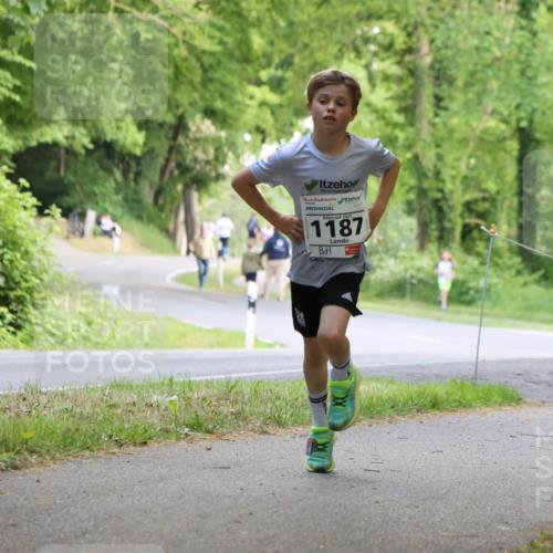 17.05.2025 - Störlauf Strokosch-Dieckow http://msf.ph/oto/7852299 17.05.2025 14:37:23 Laufen 2025, 1187 meine-sportfotos.de