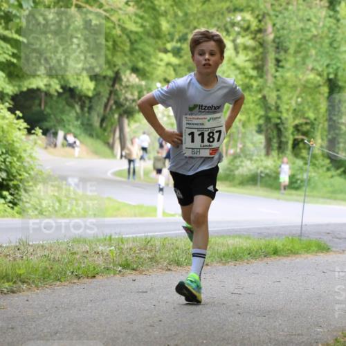 17.05.2025 - Störlauf Strokosch-Dieckow http://msf.ph/oto/7852303 17.05.2025 14:37:23 Laufen 2025, 1187 meine-sportfotos.de