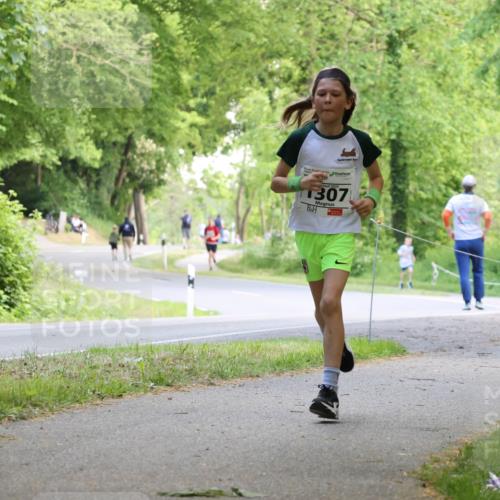 17.05.2025 - Störlauf Strokosch-Dieckow http://msf.ph/oto/7852337 17.05.2025 14:37:51 Laufen 1307, 1287 meine-sportfotos.de