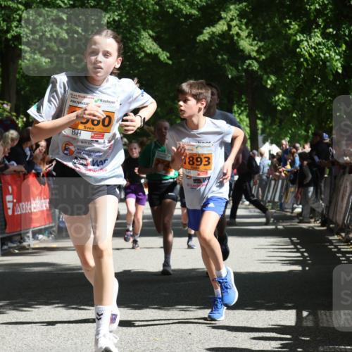 17.05.2025 - Störlauf Strokosch-Dieckow http://msf.ph/oto/7852341 17.05.2025 15:29:00 Ziel 7500, 1893 meine-sportfotos.de