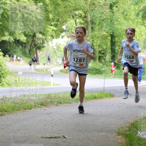 17.05.2025 - Störlauf Strokosch-Dieckow http://msf.ph/oto/7852342 17.05.2025 14:37:53 Laufen 1287, 1568 meine-sportfotos.de