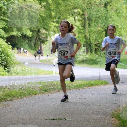 17.05.2025 - Störlauf Strokosch-Dieckow http://msf.ph/oto/7852349 17.05.2025 14:37:54 Laufen 1287, 1568 meine-sportfotos.de