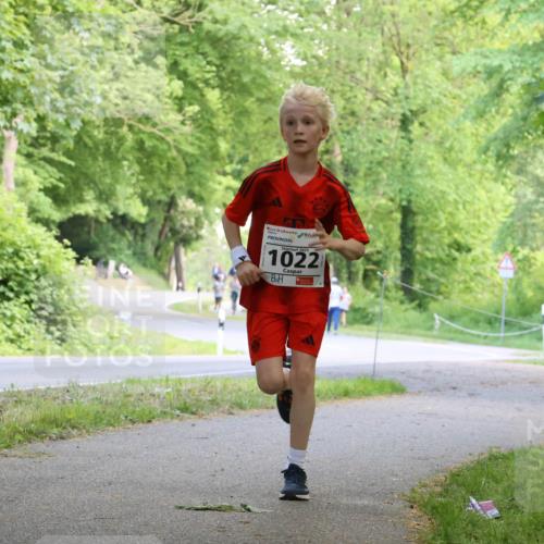 17.05.2025 - Störlauf Strokosch-Dieckow http://msf.ph/oto/7852425 17.05.2025 14:38:19 Laufen 2025, 1022, 1531 meine-sportfotos.de