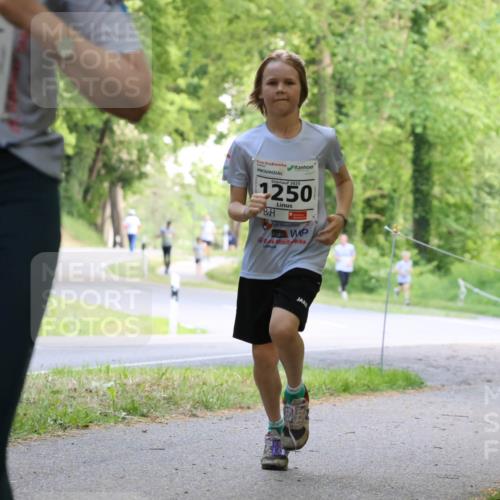 17.05.2025 - Störlauf Strokosch-Dieckow http://msf.ph/oto/7852489 17.05.2025 14:38:59 Laufen 146, 1635, 2025, 1250, 11 meine-sportfotos.de