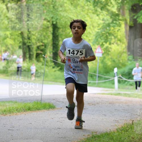 17.05.2025 - Störlauf Strokosch-Dieckow http://msf.ph/oto/7852521 17.05.2025 14:39:08 Laufen 2025, 1475 meine-sportfotos.de