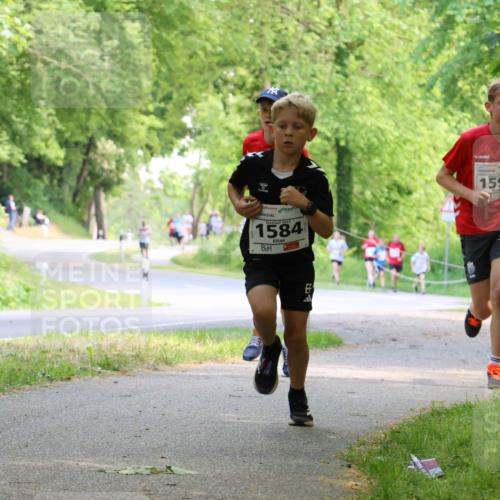 17.05.2025 - Störlauf Strokosch-Dieckow http://msf.ph/oto/7852578 17.05.2025 14:39:53 Laufen 90, 1584, 1593 meine-sportfotos.de