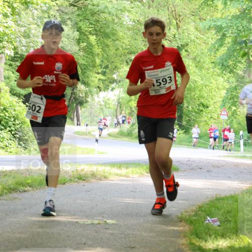 17.05.2025 - Störlauf Strokosch-Dieckow http://msf.ph/oto/7852587 17.05.2025 14:39:55 Laufen 584, 602, 593, 115, 10 meine-sportfotos.de
