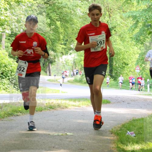 17.05.2025 - Störlauf Strokosch-Dieckow http://msf.ph/oto/7852589 17.05.2025 14:39:55 Laufen 593, 34, 602, 15, 10 meine-sportfotos.de