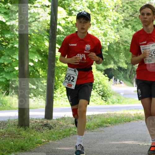17.05.2025 - Störlauf Strokosch-Dieckow http://msf.ph/oto/7852591 17.05.2025 14:39:55 Laufen 2025, 593, 602 meine-sportfotos.de