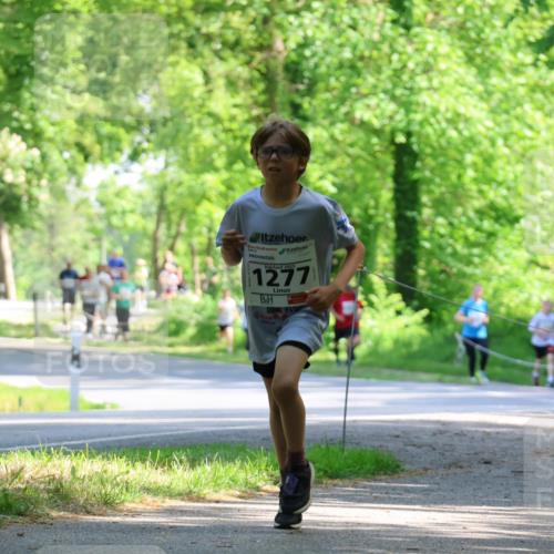 17.05.2025 - Störlauf Strokosch-Dieckow http://msf.ph/oto/7852639 17.05.2025 14:40:15 Laufen 2025, 1277, 161 meine-sportfotos.de