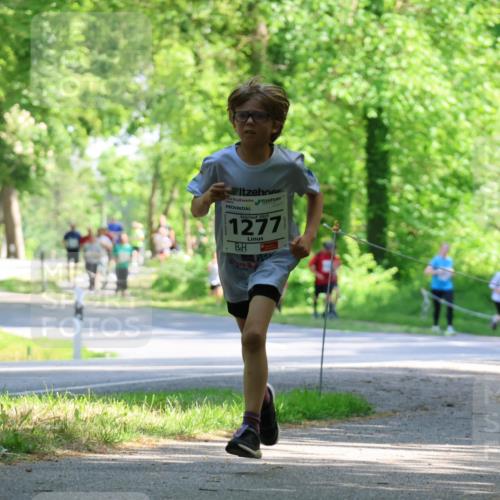 17.05.2025 - Störlauf Strokosch-Dieckow http://msf.ph/oto/7852641 17.05.2025 14:40:15 Laufen 2025, 1277, 161 meine-sportfotos.de