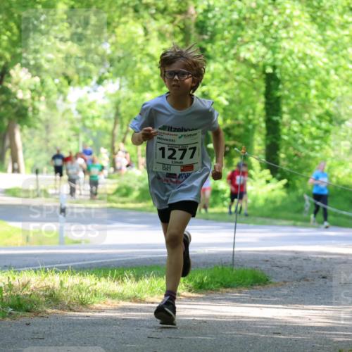 17.05.2025 - Störlauf Strokosch-Dieckow http://msf.ph/oto/7852643 17.05.2025 14:40:15 Laufen 2025, 1277, 16 meine-sportfotos.de
