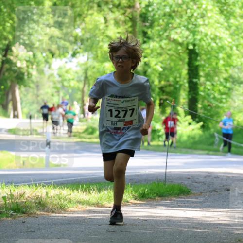 17.05.2025 - Störlauf Strokosch-Dieckow http://msf.ph/oto/7852645 17.05.2025 14:40:16 Laufen 2025, 1277, 1614 meine-sportfotos.de
