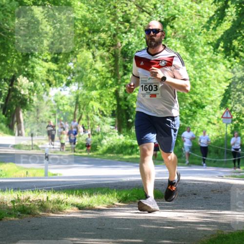 17.05.2025 - Störlauf Strokosch-Dieckow http://msf.ph/oto/7852684 17.05.2025 14:40:30 Laufen 1603 meine-sportfotos.de
