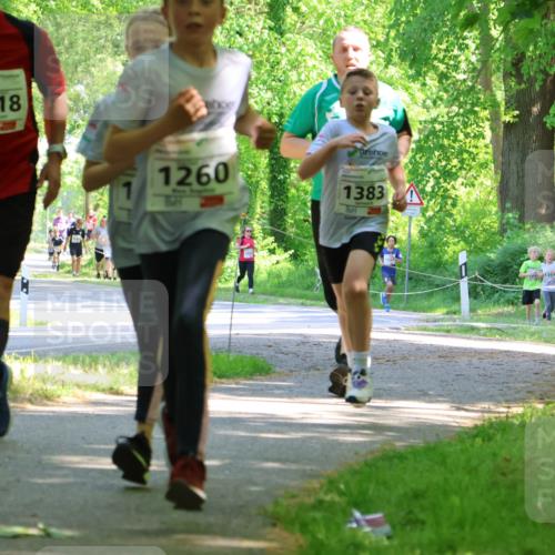 17.05.2025 - Störlauf Strokosch-Dieckow http://msf.ph/oto/7852736 17.05.2025 14:40:47 Laufen 1518, 1260, 1383, 1003, 1156 meine-sportfotos.de