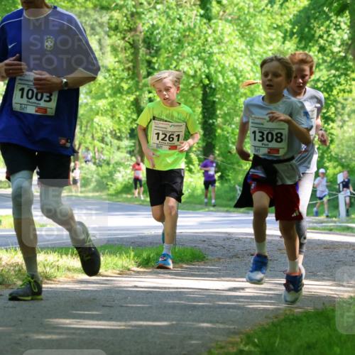 17.05.2025 - Störlauf Strokosch-Dieckow http://msf.ph/oto/7852789 17.05.2025 14:41:04 Laufen 1003, 1261, 1308 meine-sportfotos.de
