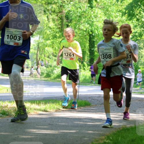 17.05.2025 - Störlauf Strokosch-Dieckow http://msf.ph/oto/7852793 17.05.2025 14:41:04 Laufen 1003, 1261, 1308, 61 meine-sportfotos.de