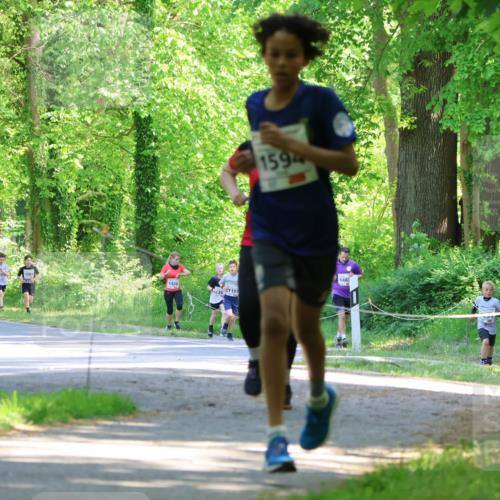 17.05.2025 - Störlauf Strokosch-Dieckow http://msf.ph/oto/7852809 17.05.2025 14:41:09 Laufen 1426, 1197, 1594, 1483, 116, 29 meine-sportfotos.de