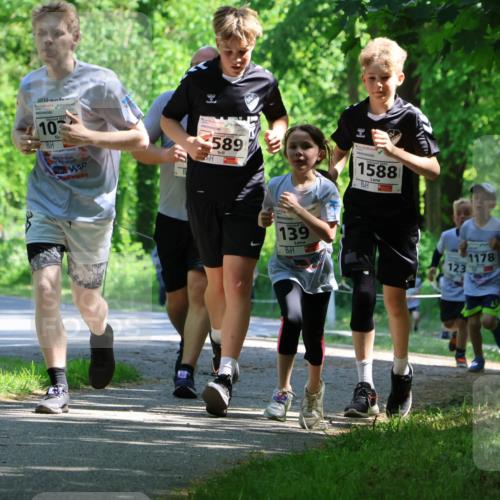 17.05.2025 - Störlauf Strokosch-Dieckow http://msf.ph/oto/7852824 17.05.2025 14:41:20 Laufen 103, 589, 20, 139, 1588, 123, 1178, 1012 meine-sportfotos.de