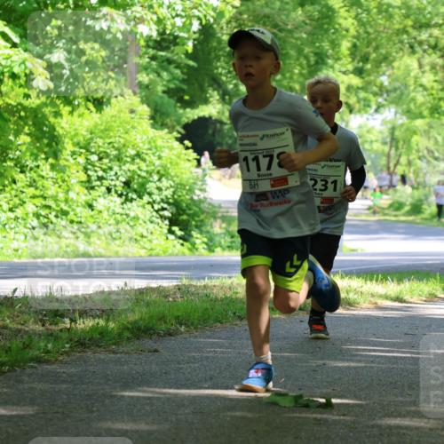 17.05.2025 - Störlauf Strokosch-Dieckow http://msf.ph/oto/7852843 17.05.2025 14:41:26 Laufen 2025, 1178, 2025, 231, 1248 meine-sportfotos.de