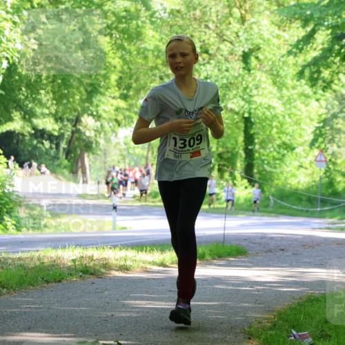 17.05.2025 - Störlauf Strokosch-Dieckow http://msf.ph/oto/7852891 17.05.2025 14:41:46 Laufen 2025, 1309 meine-sportfotos.de