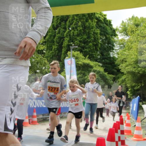 17.05.2025 - Störlauf H.Heesch http://msf.ph/oto/7853007 17.05.2025 13:02:34 Ziel  meine-sportfotos.de