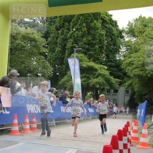 17.05.2025 - Störlauf H.Heesch http://msf.ph/oto/7853508 17.05.2025 13:16:59 Ziel  meine-sportfotos.de