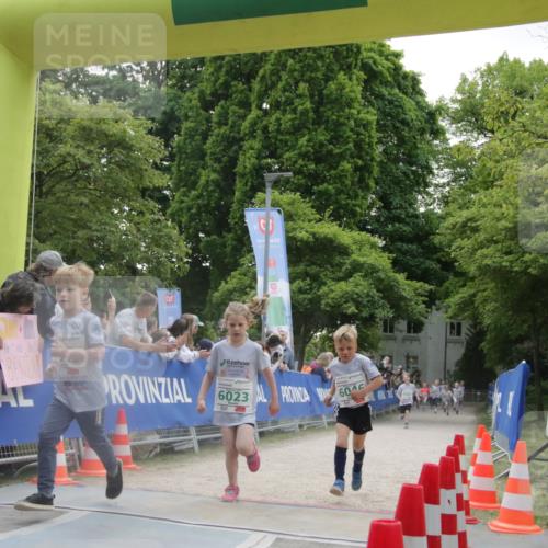 17.05.2025 - Störlauf H.Heesch http://msf.ph/oto/7853509 17.05.2025 13:17:00 Ziel  meine-sportfotos.de