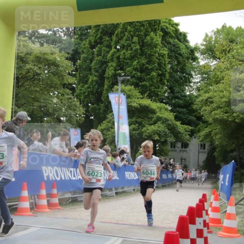 17.05.2025 - Störlauf H.Heesch http://msf.ph/oto/7853510 17.05.2025 13:17:00 Ziel  meine-sportfotos.de
