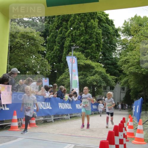 17.05.2025 - Störlauf H.Heesch http://msf.ph/oto/7853522 17.05.2025 13:17:11 Ziel  meine-sportfotos.de