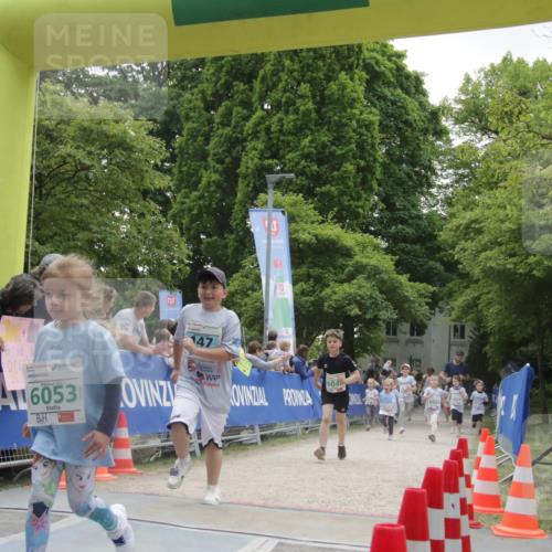 17.05.2025 - Störlauf H.Heesch http://msf.ph/oto/7853545 17.05.2025 13:17:25 Ziel  meine-sportfotos.de