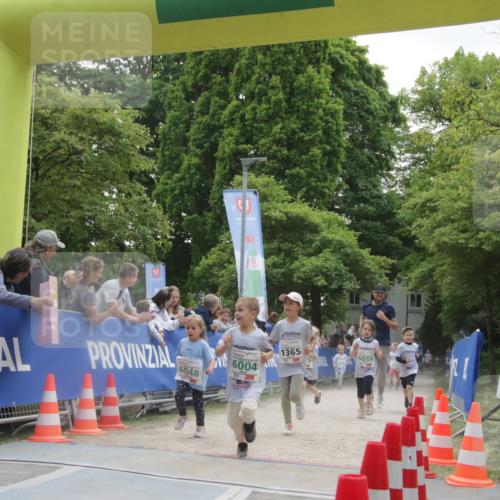 17.05.2025 - Störlauf H.Heesch http://msf.ph/oto/7853551 17.05.2025 13:17:28 Ziel  meine-sportfotos.de