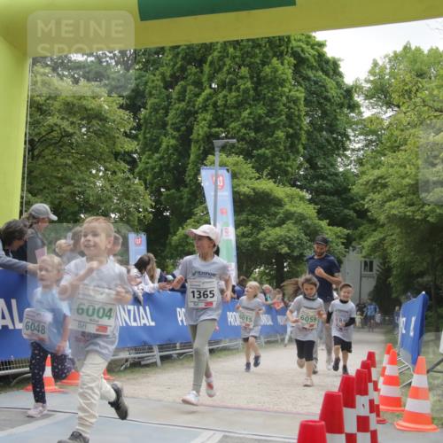 17.05.2025 - Störlauf H.Heesch http://msf.ph/oto/7853555 17.05.2025 13:17:29 Ziel  meine-sportfotos.de