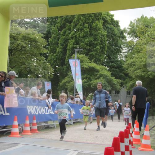 17.05.2025 - Störlauf H.Heesch http://msf.ph/oto/7853589 17.05.2025 13:17:39 Ziel  meine-sportfotos.de