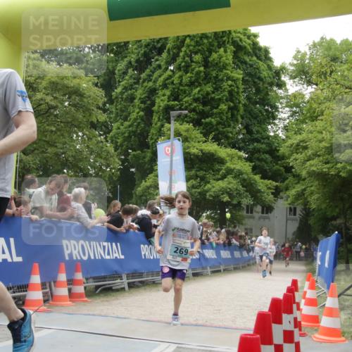 17.05.2025 - Störlauf H.Heesch http://msf.ph/oto/7853916 17.05.2025 13:43:58 Ziel  meine-sportfotos.de