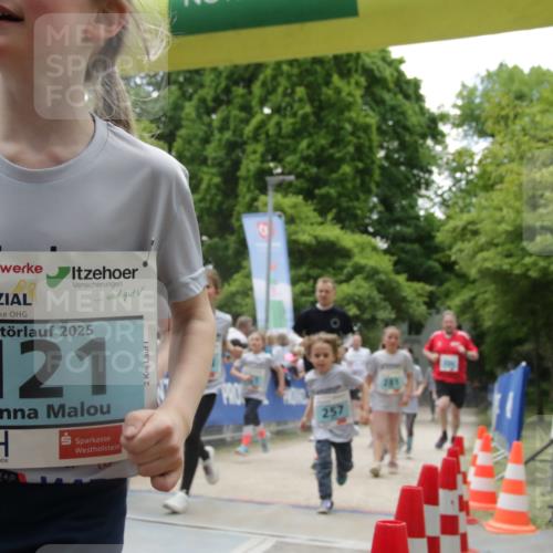 17.05.2025 - Störlauf H.Heesch http://msf.ph/oto/7854079 17.05.2025 13:45:36 Ziel  meine-sportfotos.de