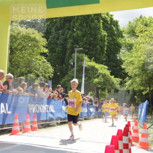 17.05.2025 - Störlauf H.Heesch http://msf.ph/oto/7854736 17.05.2025 13:58:21 Ziel  meine-sportfotos.de