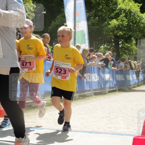 17.05.2025 - Störlauf H.Heesch http://msf.ph/oto/7854885 17.05.2025 14:00:40 Ziel  meine-sportfotos.de