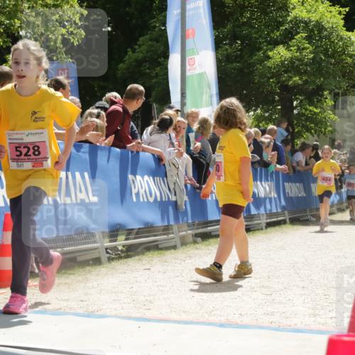 17.05.2025 - Störlauf H.Heesch http://msf.ph/oto/7854887 17.05.2025 14:01:04 Ziel  meine-sportfotos.de