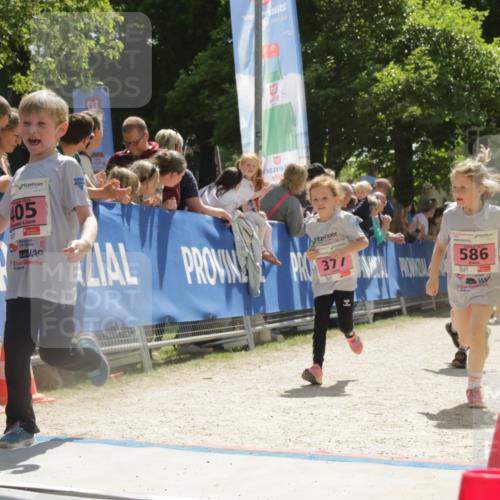 17.05.2025 - Störlauf H.Heesch http://msf.ph/oto/7854934 17.05.2025 14:02:16 Ziel  meine-sportfotos.de