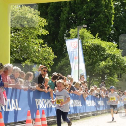 17.05.2025 - Störlauf H.Heesch http://msf.ph/oto/7855043 17.05.2025 14:12:40 Ziel  meine-sportfotos.de