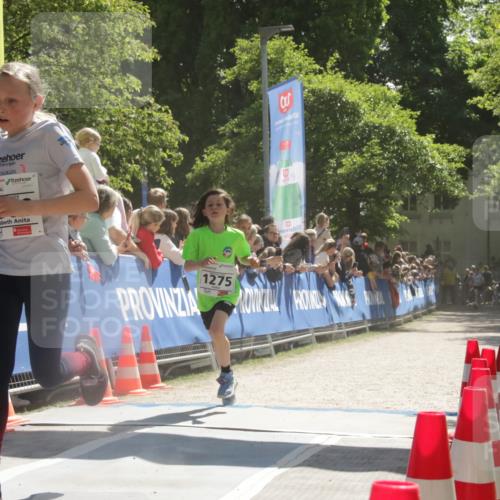 17.05.2025 - Störlauf H.Heesch http://msf.ph/oto/7855990 17.05.2025 14:43:27 Ziel  meine-sportfotos.de
