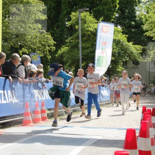 17.05.2025 - Störlauf H.Heesch http://msf.ph/oto/7856530 17.05.2025 14:50:42 Ziel  meine-sportfotos.de