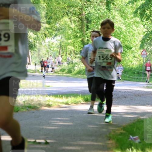 17.05.2025 - Störlauf Strokosch-Dieckow http://msf.ph/oto/7856584 17.05.2025 14:42:18 Laufen 1639, 1565, 1521, 1520 meine-sportfotos.de