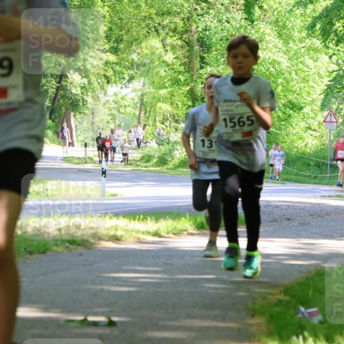 17.05.2025 - Störlauf Strokosch-Dieckow http://msf.ph/oto/7856585 17.05.2025 14:42:18 Laufen 1639, 13, 1565, 1521, 1520 meine-sportfotos.de