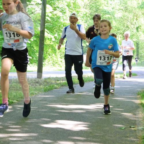 17.05.2025 - Störlauf Strokosch-Dieckow http://msf.ph/oto/7856705 17.05.2025 14:43:31 Laufen 1316, 107, 1317, 1546, 177 meine-sportfotos.de